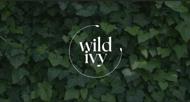 Wild Ivy – Curated artisan markets featuring Scottish creative talent